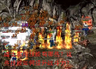 ��ʿʵ�ü�������Щ����Щ�����������ս������