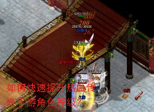 ��ο���������Ѫ�������ν�ɫ�ȼ���