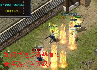 ��ο���������Ѫ�������ν�ɫ�ȼ���