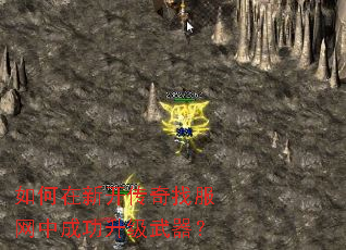 ������¿������ҷ����гɹ�����������