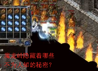 ħ������������Щ��Ϊ��֪�����ܣ�