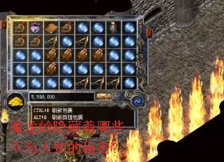 ħ������������Щ��Ϊ��֪�����ܣ�