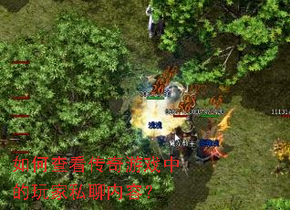 ��β鿴������Ϸ�е����˽�����ݣ�