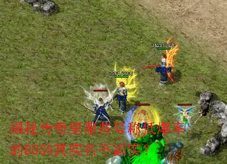 ���ش�������Щ�ųƵͱ��ʵ�BOSS��ʵ������ʵ��