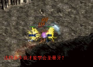 ��ʦ���ټ�����ѧ��ʥ������