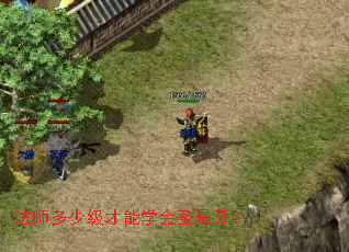 ��ʦ���ټ�����ѧ��ʥ������