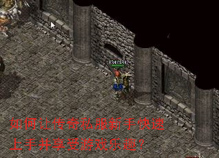 ����ô���˽�����ֿ������ֲ�������Ϸ��Ȥ��