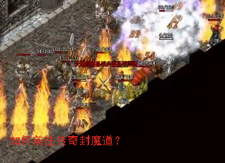 ���ǰ�������ħ����