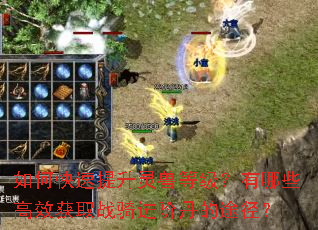 ��ο����������޵ȼ�������Щ��Ч��ȡս����׵���;����