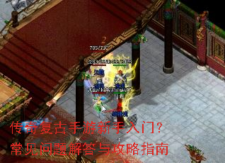 ���渴�������������ţ������������빥��ָ��