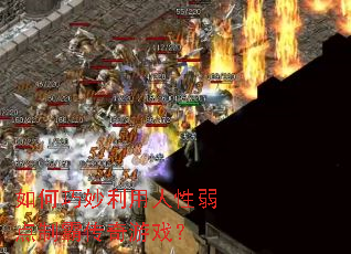 ��������������������ưԴ�����Ϸ��