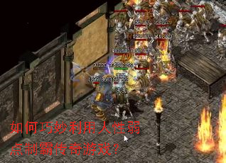 ��������������������ưԴ�����Ϸ��