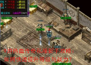 9����Ѫ����˽�����ֹ��ԣ���ο��������ȼ���ս����