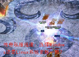 ����˽�����ѡ��Windows����Linuxϵͳ��ʤһ�