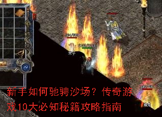 ������γ۳�ɳ����������Ϸ10���֪�ؼ�����ָ��