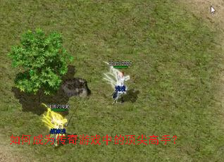 ��γ�Ϊ������Ϸ�еĶ�����֣�