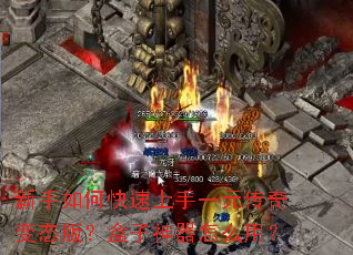 ������ο�������һԪ�����̬�棿����������ô�ã�