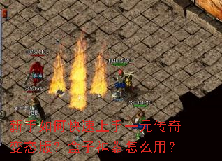 ������ο�������һԪ�����̬�棿����������ô�ã�