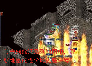 ������򼶴ϵ�е�ͼ�У����ŵ�ͼ���Լ۱ȸ�ʤһ�