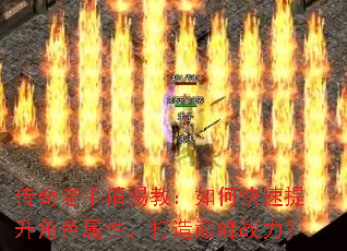 ����������ͽ̣���ο���������ɫ���ԣ������۷�ս����