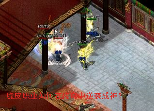 ��Ƥְҵ����ڴ�������Ϯ����