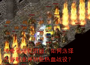 ����˽�����ɰ棺���ѡ�����ְҵ����ʤ��Ѫս�ۣ�