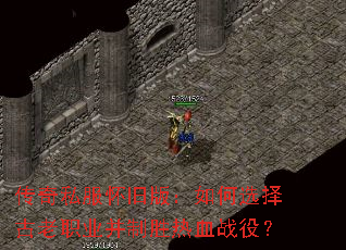 ����˽�����ɰ棺���ѡ�����ְҵ����ʤ��Ѫս�ۣ�