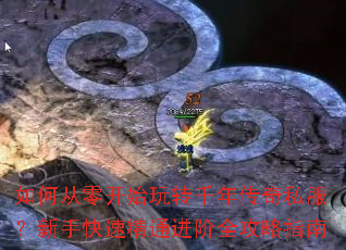 ��δ��㿪ʼ��תǧ�괫��˽�������ֿ��پ�ͨ����ȫ����ָ��