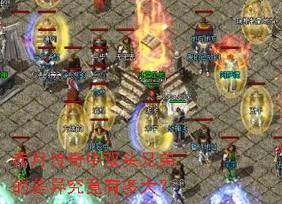 ���´�����˫ͷ�ֵܵĲ��쾿���ж��