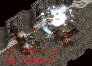 ���´�����˫ͷ�ֵܵĲ��쾿���ж��