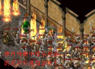 ���´�����˫ͷ�ֵܵĲ��쾿���ж��