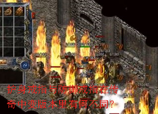 ������ָ�������ָ�ڴ����б�汾���кβ�ͬ��