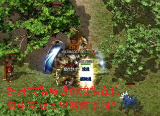 ������ָ�������ָ�ڴ����б�汾���кβ�ͬ��