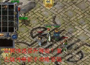 ��ο��������ȼ������Ű洫�����ֹ��Դ���