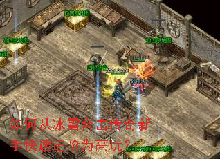 ��δӱ�ѩ�ϻ��������ֿ��ٽ���Ϊ���棿