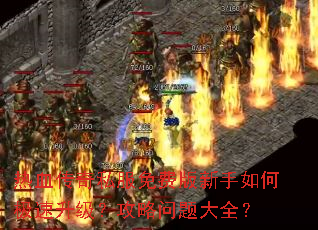 ��Ѫ����˽����Ѱ�������μ������������������ȫ��