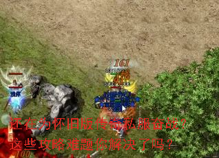 ����Ϊ���ɰ洫��˽����ս����Щ����������������