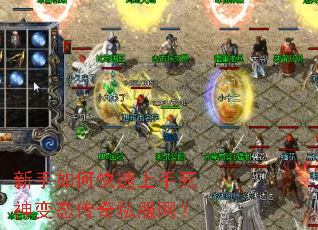 ������ο������������̬����˽������