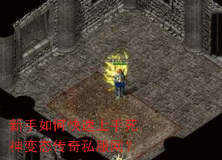 ������ο������������̬����˽������