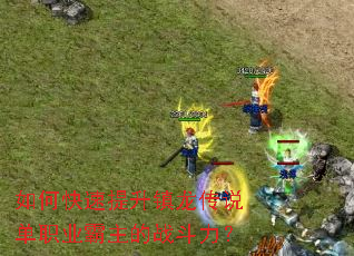 ��ο�������������˵��ְҵ������ս������