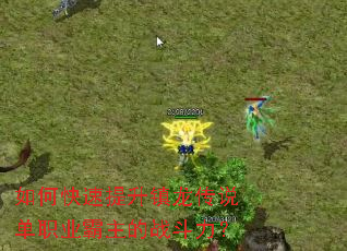 ��ο�������������˵��ְҵ������ս������