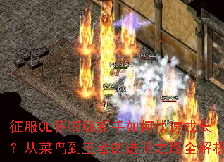 ����OL���ɰ�������ο��ٳɳ����Ӳ������ߵĽ���֮·ȫ����