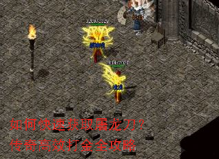 ��ο��ٻ�ȡ�������������Ч���ȫ����