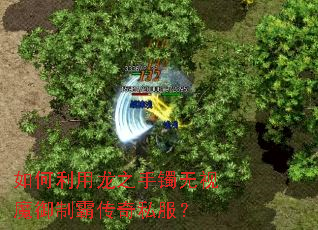 ���������֮��������ħ���ưԴ���˽����