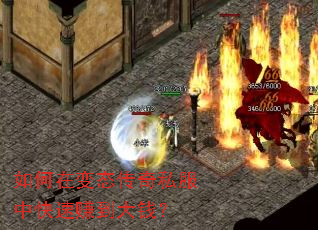 ����ڱ�̬����˽���п���׬����Ǯ��