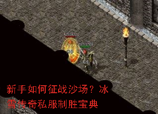 ���������սɳ������ѩ����˽����ʤ����