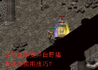 ��ʦ��ˢ�����Ұ������Щʵ�ü��ɣ�