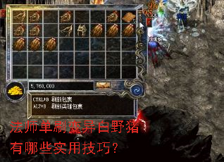 ��ʦ��ˢ�����Ұ������Щʵ�ü��ɣ�