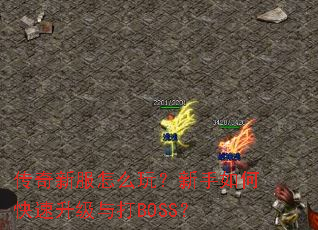 �����·���ô�棿������ο����������BOSS��