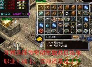 ���ѡ�������������˽��ְҵ��սʿ����ʦ���ǵ�ʿ��